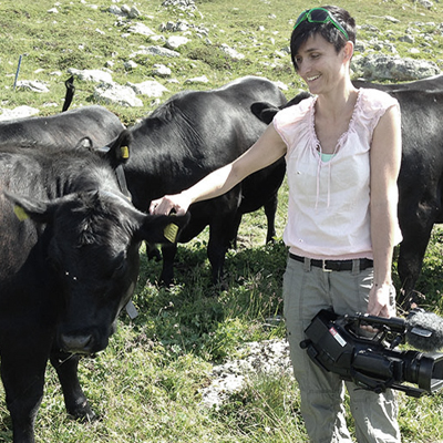 niggli-angus-srf_400x400_srs
